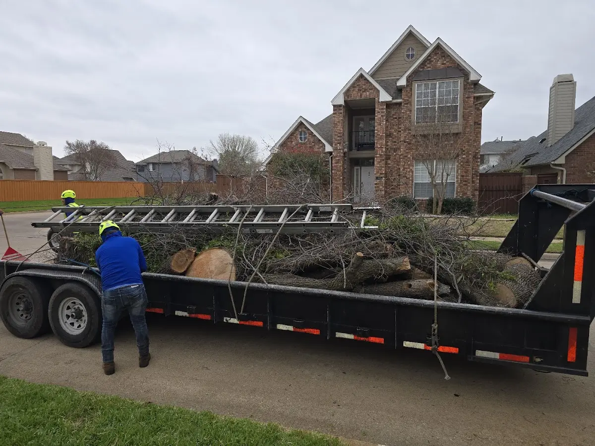 Expert Tree Removal with proper safety equipment in Billerica